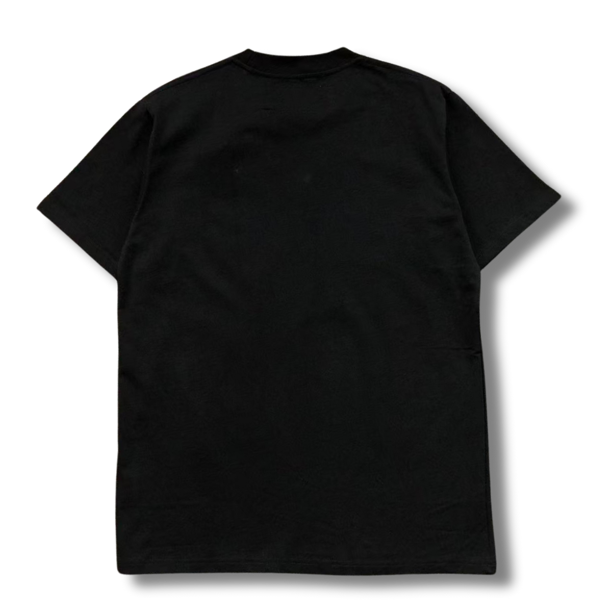 Spider T-Shirt 555